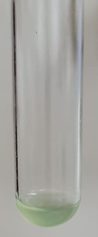 17. Pseudomonas Spp. (weak Pigment)